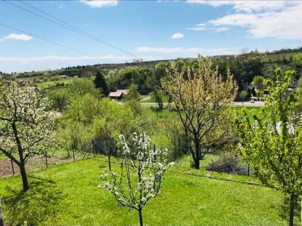 Szepasszonyvoelgyi Apartman Eger